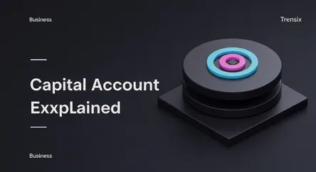 Capital Account Explained