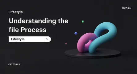 Understanding the FIIE Process