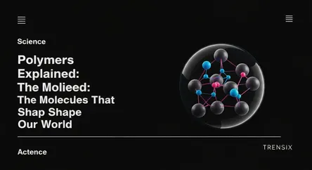 Polymers Explained: The Molecules That Shape Our World