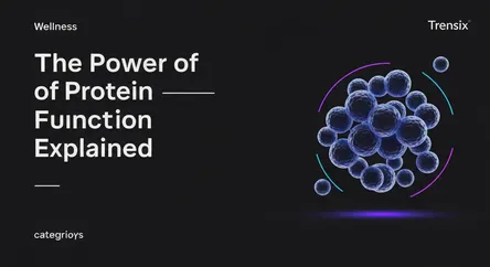 The Power of Protein Function Explained