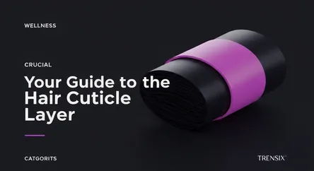 Your Guide to the Hair Cuticle Layer