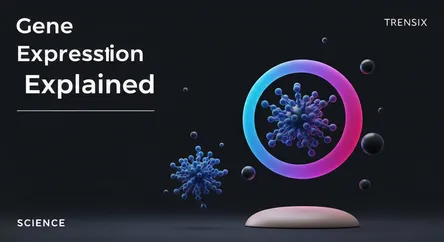 Gene Expression Explained