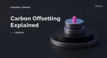 Carbon Offsetting Explained