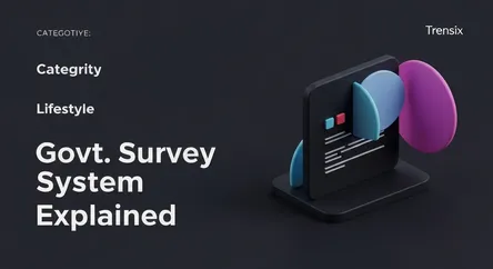 Govt. Survey System Explained