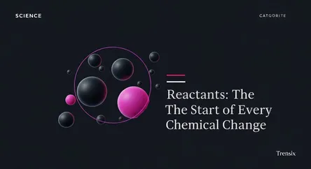 Reactants: The Start of Every Chemical Change