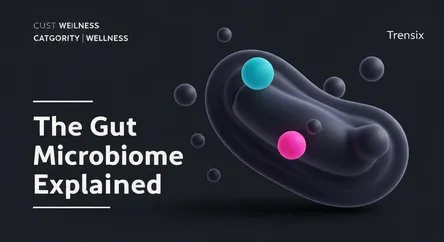 The Gut Microbiome Explained