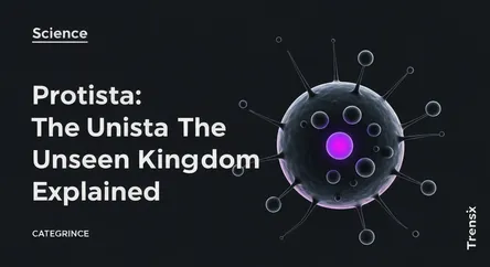 Protista: The Unseen Kingdom Explained