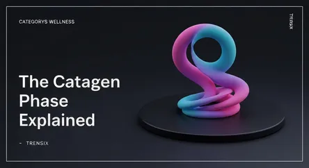 The Catagen Phase Explained