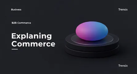 Explaining B2B Commerce