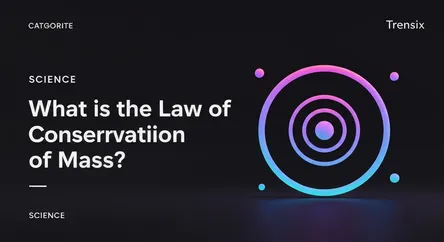 What is the Law of Conservation of Mass?