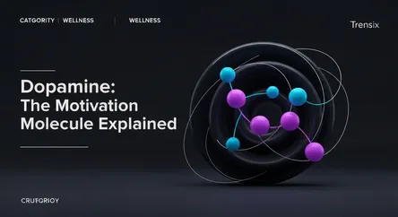 Dopamine: The Motivation Molecule Explained