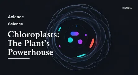 Chloroplasts: The Plant's Powerhouse