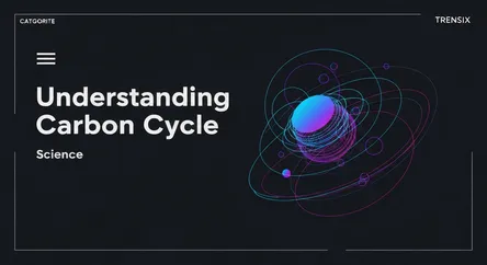 Understanding the Carbon Cycle