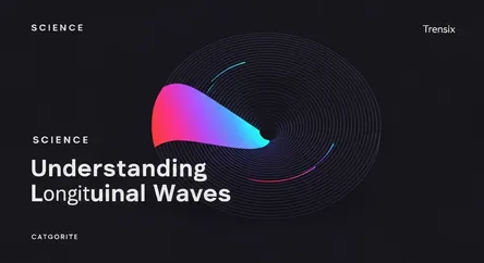 Understanding Longitudinal Waves