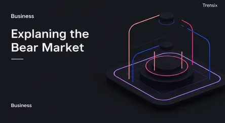 Explaining the Bear Market