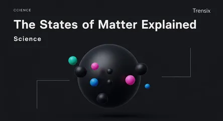 The States of Matter Explained