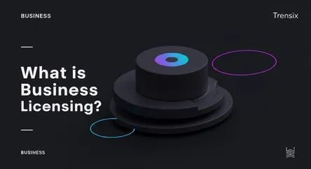 What is Business Licensing?