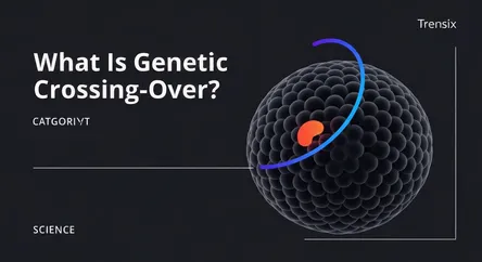What Is Genetic Crossing-Over?
