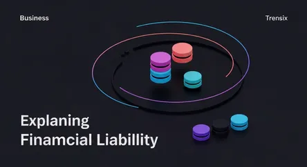 Explaining Financial Liability