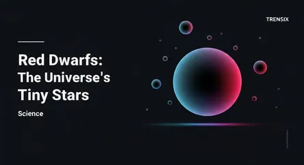 Red Dwarfs: The Universe's Tiny Stars