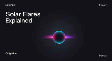 Solar Flares Explained