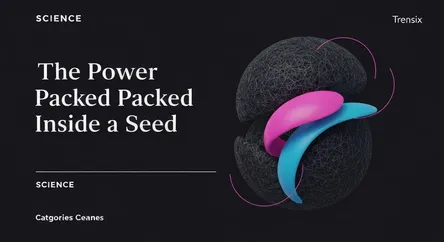 The Power Packed Inside a Seed
