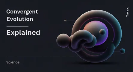 Convergent Evolution Explained