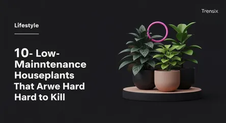 10 Low-Maintenance Houseplants That Are Hard to Kill