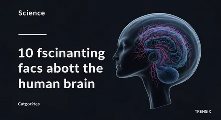 10 fascinating facts about the human brain